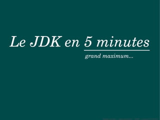 Le JDK en 5 minutes
          grand maximum...




               Sylvain Leroux – www.chicoree.fr – 2009 – Licence CC-BY3.0
 