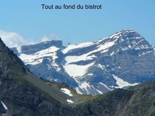 Tout au fond du bistrot 
