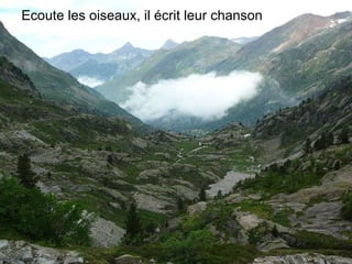 Ecoute les oiseaux, il écrit leur chanson 