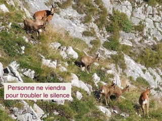 Personne ne viendra pour troubler le silence 