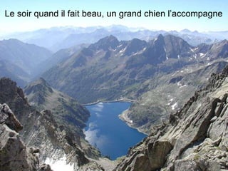 Le soir quand il fait beau, un grand chien l’accompagne 