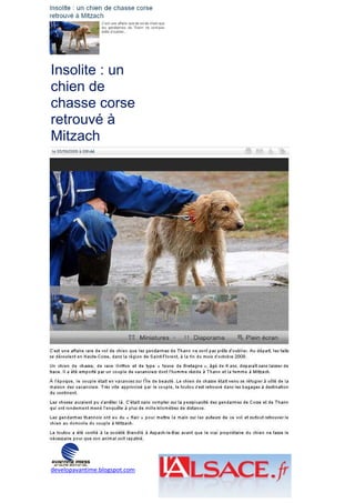 Insolite : un
chien de
chasse corse
retrouvé à
Mitzach




developavantime.blogspot.com
 