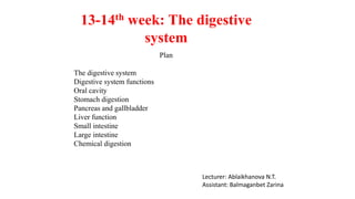 13-14th week: The digestive
system
Plan
The digestive system
Digestive system functions
Oral cavity
Stomach digestion
Pancreas and gallbladder
Liver function
Small intestine
Large intestine
Chemical digestion
Lecturer: Ablaikhanova N.T.
Assistant: Balmaganbet Zarina
 