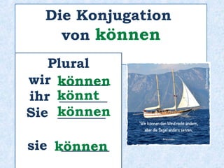 Lisa ___________ Urlaub machen.möchte
 