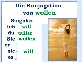 Singular
ich ________
du _________
Sie __________
er ______
sie ______
es ______
mag
magst
mögen
mag
Die Konjugation von mögen
 