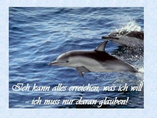 Was _________ du lieber?magst
 