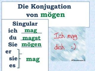 Ich _________ gern beides!mag
 