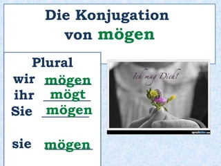 _________ du jetzt einen Kaffee?Magst
 