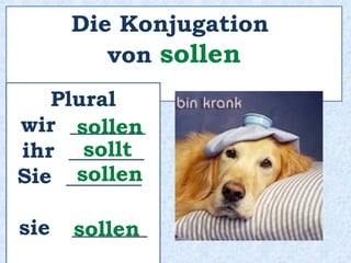 Bedeutung von wollen
Wunsch / Wille
 