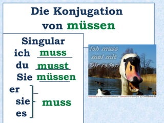 Jens ______ durch Europa
reisen.
will
 