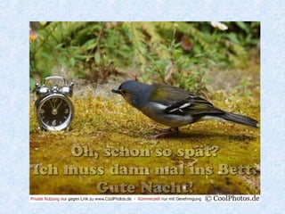 Singular
ich ________
du _________
Sie __________
er ______
sie ______
es ______
kann
kannst
können
kann
Die Konjugation von können
 