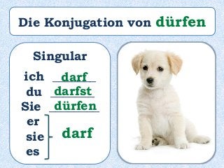 Singular
ich _______
du _______
Sie ________
er ______
sie ______
es ______
darf
darfst
dürfen
darf
Die Konjugation von dürfen
 