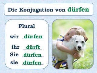 Plural
wir ________
ihr _______
Sie ________
sie ________
dürfen
dürft
dürfen
dürfen
Die Konjugation von dürfen
 