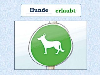_________ erlaubtHunde
 