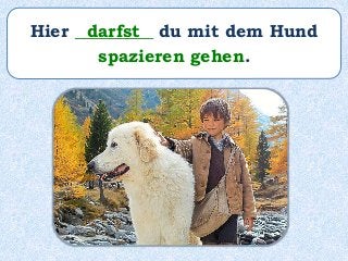 Hier _________ du mit dem Hund
spazieren gehen.
darfst
 