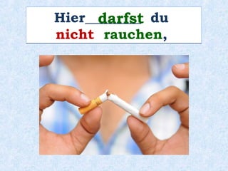 Was ____________ du zum Essen?möchtest
 