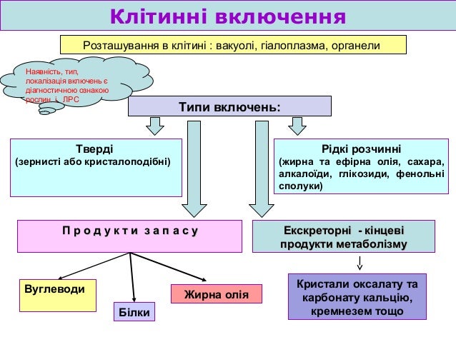 Результат пошуку зображень за запитом "включення"