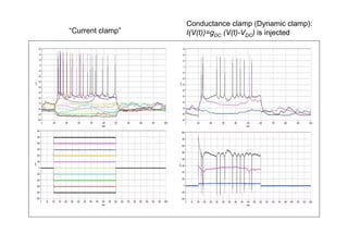 Conductance clamp (Dynamic clamp):
“Current clamp”   I(V(t))=gDC (V(t)-VDC) is injected
 