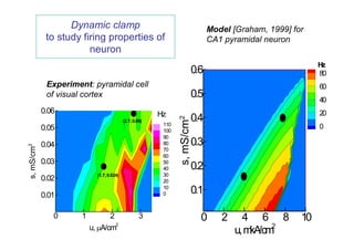 Dynamic clamp                                                  Model [Graham, 1999] for
             to study firing properties of                                        CA1 pyramidal neuron
                        neuron
                                                                                                              Hz
                                                                            0.6                               80
             Experiment: pyramidal cell                                                                       60
             of visual cortex                                               0.5                               40
                                                          Hz
            0.06                                         Hz                                                   20
                                                                            0.4




                                                                s, mS/cm2
                                           (2.7; 0.06)
                                                          110
            0.05                                          100
                                                                                                              0
                                                          90
            0.04                                          80                0.3
s, mS/cm2




                                                          70
                                                          60
            0.03                                          50
                                                          40                0.2
                            (1.7; 0.024)                  30
            0.02                                          20

            0.01
                                                          10
                                                          0                 0.1

               0      1            2                3                         0      2     4 6 8         10
                                       2                                                         2
                          u, A/cm                                                       u,mkA/cm
 