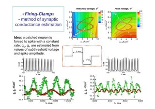 Neuron-computer interface in Dynamic-Clamp experiments | PPT
