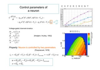 E X P E R I M E N T
                  Control parameters of
                        a neuron
    dV ( t )
C              g Na m 3 (V , t )h (V , t )(V (t )  VNa ) 
     dt
                      4                                                     2V
               g K n (V , t )(V (t )  VK )  g L (V ( t )  VL )  iS  k 2
                                                                           x

Voltage-gated channels kinetics:
dm    m (V )  m
     
                                                                                       MODEL
 dt      m (V )
dh   h (V )  h                         [Hodgkin, Huxley, 1952]
     
 dt     h (V )
dn   n (V )  n
     
 dt     n (V )


Property: Neuron is controlled by two parameters
                                          [Покровский, 1978]

iS  GE (V  VE )  GI (V  VI )  I electrode   s (V  V0 )  u

     u  GE (VE  V0 )  GI (VI  V0 )  I electrode
     s  GE  GI
 