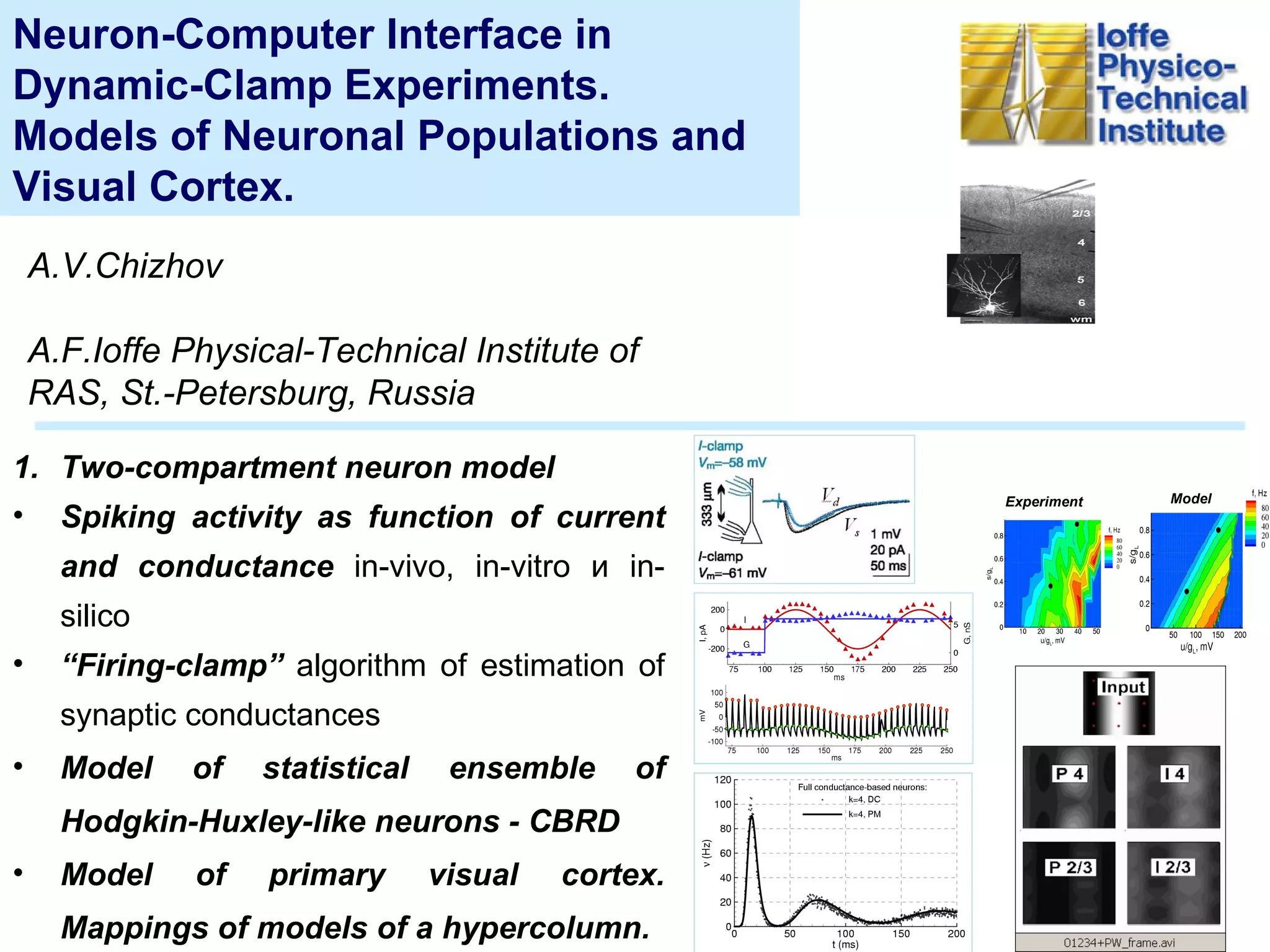 Neuron-Computer Interface in Dynamic-Clamp Experiments. Models of ...