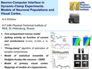 Neuron-Computer Interface in Dynamic-Clamp Experiments.  Models of Neuronal Populations and Visual Cortex. A.V.Chizhov A.F.Ioffe Physical-Technical Institute of RAS, St.-Petersburg, Russia ,[object Object],[object Object],[object Object],[object Object],[object Object],Model Experiment 