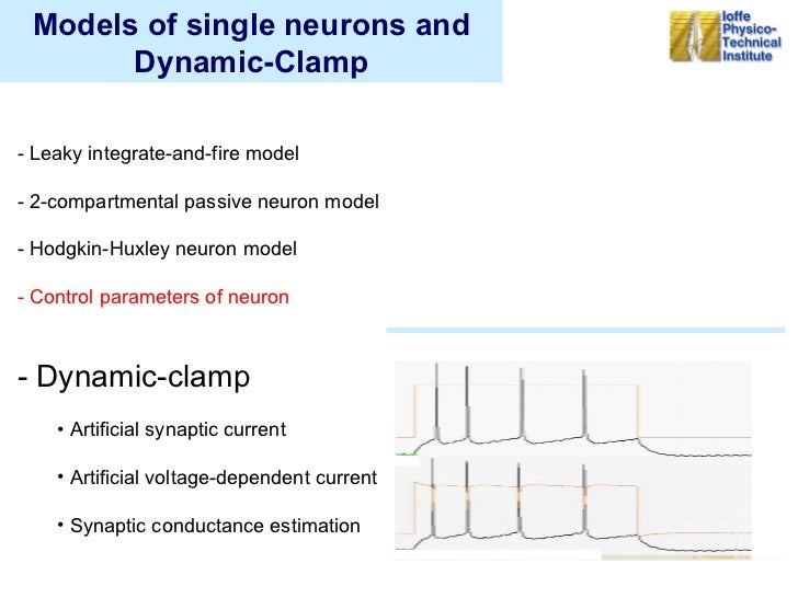 Single Neuron Models
