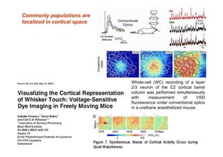 Models of neuronal populations | PDF
