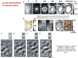 Model of visual cortex | PPT