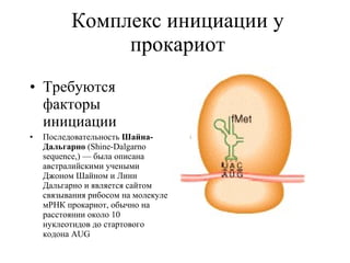 Комплекс инициации у прокариот Требуются факторы инициации Последовательность  Шайна-Дальгарно  (Shine-Dalgarno sequence,) — была описана австралийскими учеными Джоном Шайном и Линн Дальгарно и является сайтом связывания рибосом на молекуле мРНК прокариот, обычно на расстоянии около 10 нуклеотидов до стартового кодона AUG 