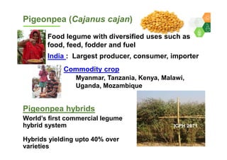 Genomics for converting 3-lines to 2-lines hybrid system in pigeonpea By Dr Lekha T Pazhamala, ICRISAT