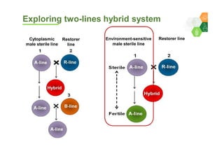 Genomics for converting 3-lines to 2-lines hybrid system in pigeonpea By Dr Lekha T Pazhamala, ICRISAT