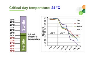 Genomics for converting 3-lines to 2-lines hybrid system in pigeonpea By Dr Lekha T Pazhamala, ICRISAT