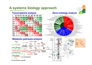 Genomics for converting 3-lines to 2-lines hybrid system in pigeonpea By Dr Lekha T Pazhamala, ICRISAT
