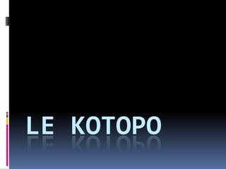 LE KOTOPO
 