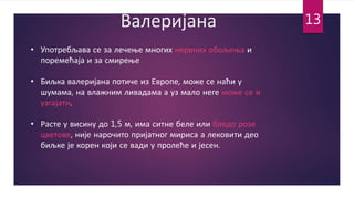 Валеријана
• Употребљава се за лечење многих нервних обољења и
поремећаја и за смирење
• Биљка валеријана потиче из Европе, може се наћи у
шумама, на влажним ливадама а уз мало неге може се и
узгајати.
• Расте у висину до 1,5 м, има ситне беле или бледо розе
цветове, није нарочито пријатног мириса а лековити део
биљке је корен који се вади у пролеће и јесен.
13
 