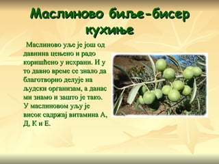 Маслиново биље-бисер кухиње Маслиново уље је још од давнина цењено и радо коришћено у исхрани. И у то давно време се знало да благотворно делује на људски организам, а данас ми знамо и зашто је тако. У маслиновом уљу је висок садржај витамина А, Д, К и Е.   
