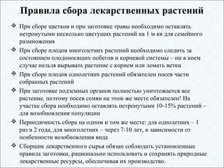 Правила сбора лекарственных растений
 При сборе цветков и при заготовке травы необходимо оставлять
нетронутыми несколько цветущих растений на 1 м кв для семейного
размножения
 При сборе плодов многолетних растений необходимо следить за
состоянием плодоносящих побегов и корневой системы – ни в коем
случае нельзя вырывать растение с корнем или ломать ветки
 При сборе плодов однолетних растений обязателен посев части
собранных растений
 При заготовке подземных органов полностью уничтожается все
растение, поэтому посев семян на этом же месте обязателен! На
участке сбора необходимо оставлять нетронутыми 10-15% растений –
для возобновления популяции
 Периодичность сбора на одном и том же месте: для однолетних – 1
раз в 2 года, для многолетних – через 7-10 лет, в зависимости от
особенности возобновления вида
 Сборщик лекарственного сырья обязан соблюдать установленные
правила заготовки, рационально использовать и сохранять природные
лекарственные ресурсы, обеспечивая их производство.
 