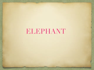 ELEPHANT
 