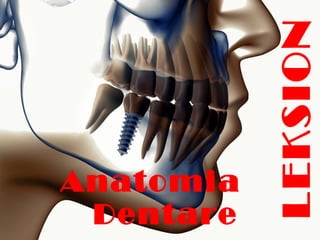 Anatomia
Dentare
LEKSION
 