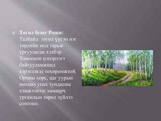  Төгөл буюу Рощи:
Талбайд төгөл үүсэн нэг
төрлийн мод тарьж
ургууласан хэлбэр.
Томоохон цэцэрлэгт
байгууламжинд
хэрэглэхэд тохиромжтой.
Орчны хөрс, цаг уурын
нөхцөл унах тундасны
хэмжээнээс хамаарч
ургамлын төрөл зүйлээ
сонгоно.
 