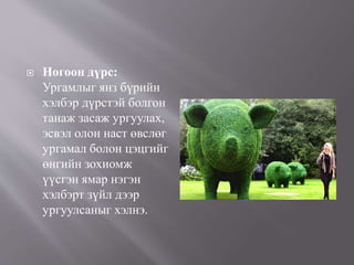  Ногоон дүрс:
Ургамлыг янз бүрийн
хэлбэр дүрстэй болгон
танаж засаж ургуулах,
эсвэл олон наст өвслөг
ургамал болон цэцгийг
өнгийн зохиомж
үүсгэн ямар нэгэн
хэлбэрт зүйл дээр
ургуулсаныг хэлнэ.
 
