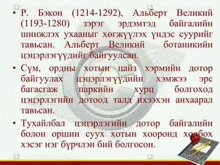• Р. Бэкон (1214-1292), Альберт Великий
(1193-1280) зэрэг эрдэмтэд байгалийн
шинжлэх ухааныг хөгжүүлэх үндэс суурийг
тавьсан. Альберт Великий ботаникийн
цэцэрлэгүүдийг байгуулсан.
• Сүм, ордны хотын цайз хэрмийн дотор
байгуулах цэцэрлэгүүдийн хэмжээ эрс
багасгаж паркийн хурц болгоход
цэцэрлэгийн дотоод талд ихээхэн анхаарал
тавьсан.
• Тухайлбал цэцэрлэгийн дотор байгалийн
болон оршин суух хотын хооронд холбох
хэсэг нэг бүрчлэн бий болгосон.
 