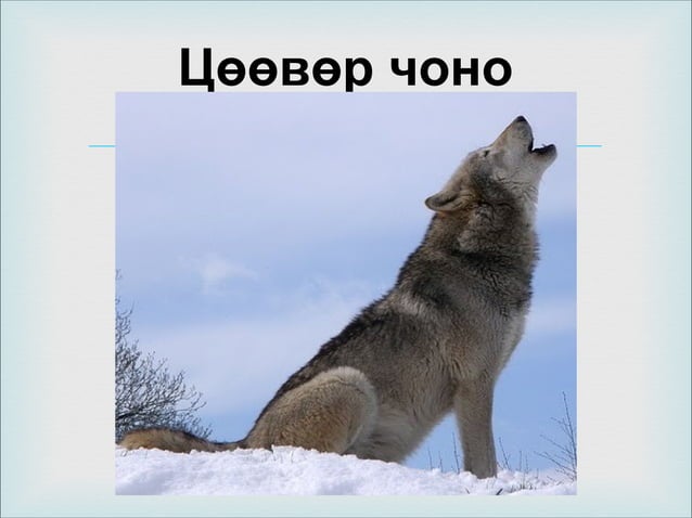 Lekts 10 | PPT