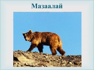 
Мазаалай
 