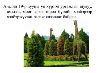Англид 19-р зууны үе хүртэл ургамлыг шувуу,
амьтан, мөөг зэрэг төрөл бүрийн хэлбэрээр
хэлбэржүүлж, засаж янзалдаг байсан.
 