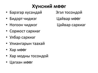 Хүнсний мөөг
•
•
•
•
•
•
•
•
•

Барзгар хусандай
Бидэрт чидмэг
Ногоон чидмэг
Сормост сархиаг
Улбар сархиаг
Улиангарын таахай
Хар мөөг
Хар модны тосондой
Цагаан мөөг

Эгэл тосондой
Цайвар мөөг
Цайвар сархиаг

 