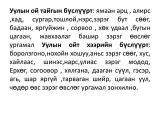 Уулын ой тайгын бүслүүрт: ѐмаан арц , алирс
,хад, сургар,тошлой,нэрс,зэрэг бут сөөг,
бадаан, ѐргуйжин , сорвоо , хөх удвал ,бугын
цагаан, жавхаалаг башир зэрэг өвслөг
ургамал Уулын ойт хээрийн бүслүүрт:
боролзгоно,нохойн хошуу,аньс зэрэг сөөг, хус,
хайлаас, шинэс,нарс,улиас зэрэг модод,
Ерхөг, согоовор , хѐлгана, дааган сүүл, гэсэр,
агь, шар ѐргуй ,тарваган шийр, цагаан уул,
чөдөр өвс зэрэг өвслөг ургамал зонхилно.

 