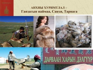 АНХНЫ ХУРИМТЛАЛ –
Ганзагын наймаа, Савхи, Тарвага
 